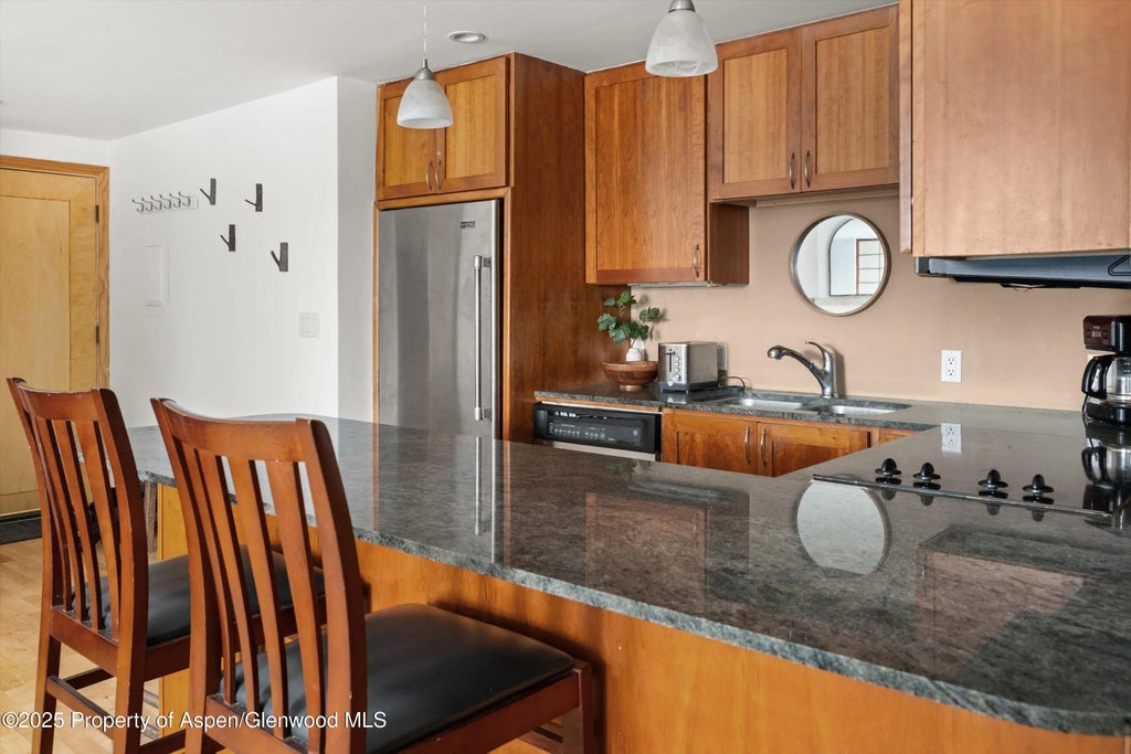 10 of 17 - 935 E Hopkins Avenue 7, Aspen, CO