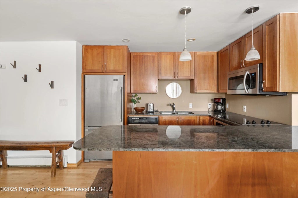 12 of 17 - 935 E Hopkins Avenue 7, Aspen, CO