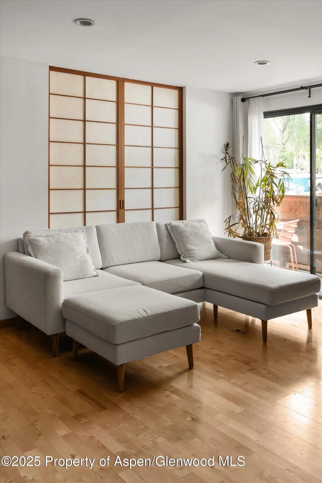 6 of 17 - 935 E Hopkins Avenue 7, Aspen, CO