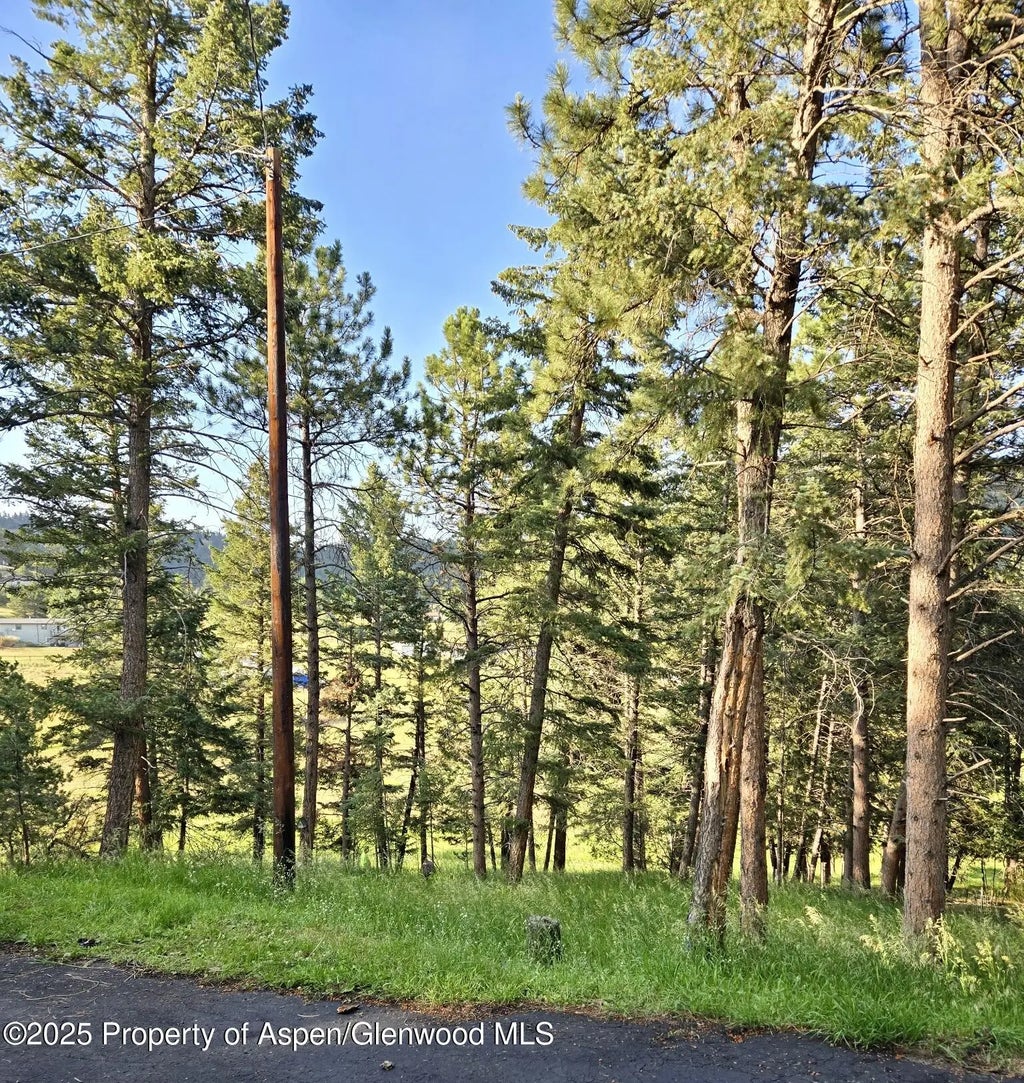 57 of 70 - 6616 High Drive, Morrison, CO