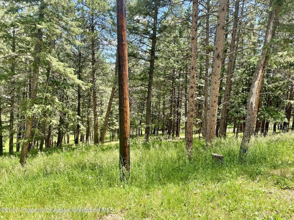 58 of 70 - 6616 High Drive, Morrison, CO