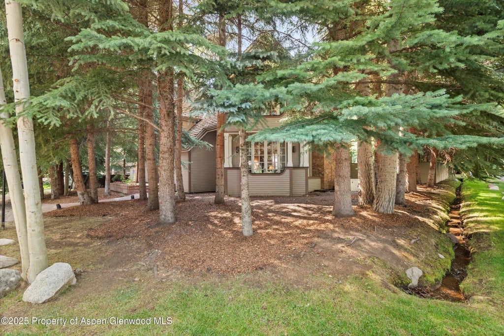 27 of 28 - 425 W North Street, Aspen, CO