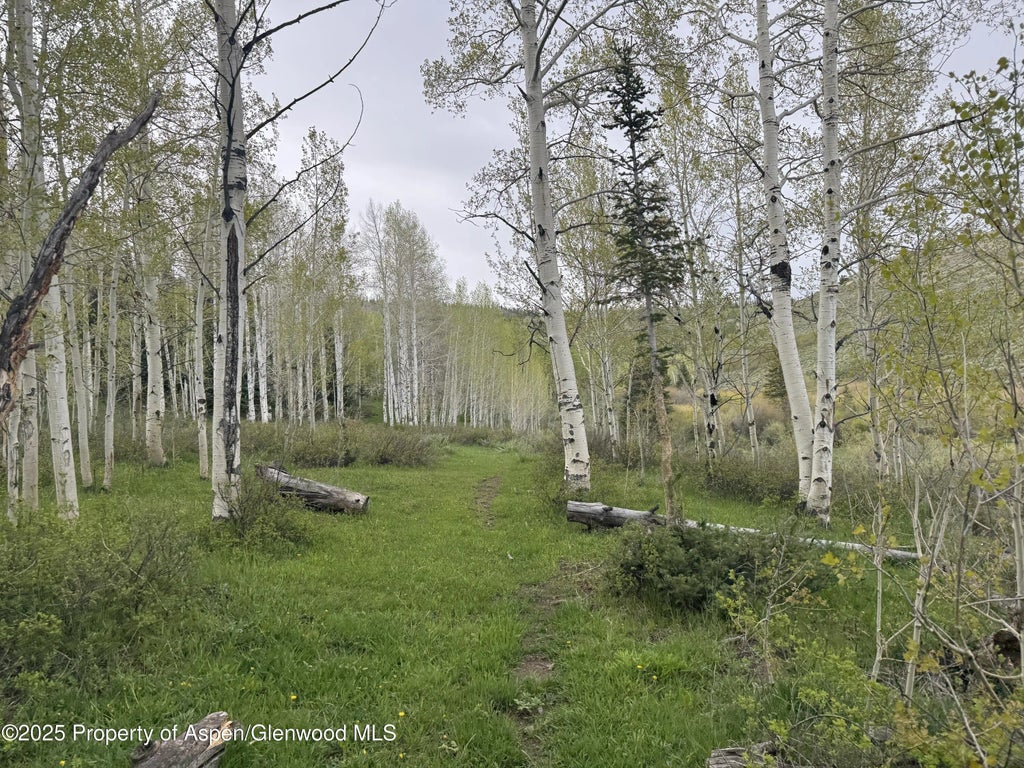 4 of 12 - 2200 County Road 5e, Walden, CO