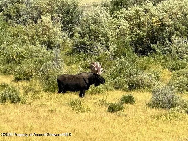 8 of 12 - 2200 County Road 5e, Walden, CO