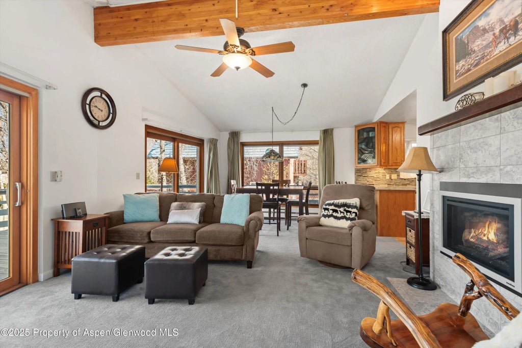 22 of 45 - 534/536 Spruce Street, Aspen, CO