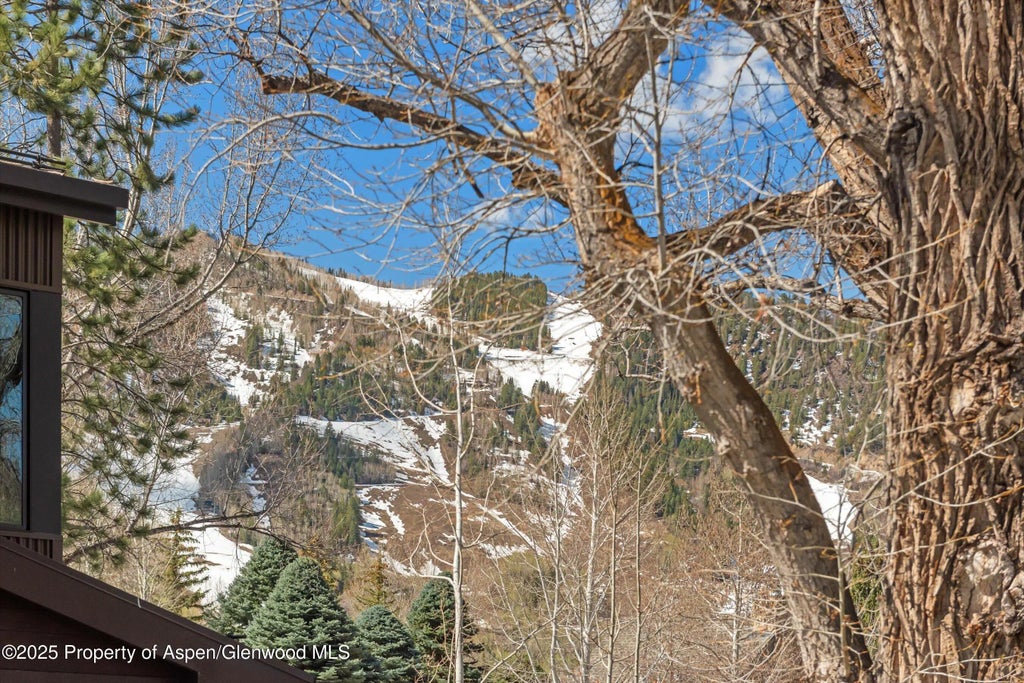 25 of 45 - 534/536 Spruce Street, Aspen, CO