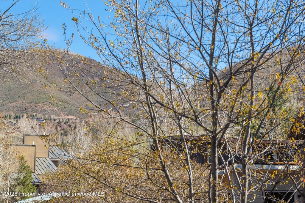 26 of 45 - 534/536 Spruce Street, Aspen, CO