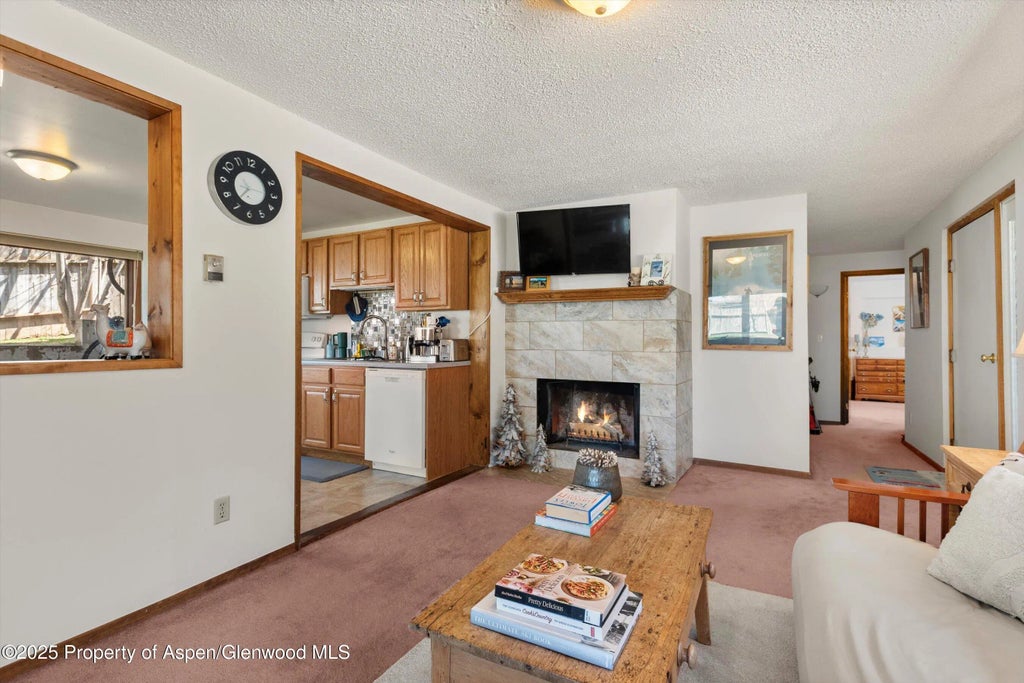 35 of 45 - 534/536 Spruce Street, Aspen, CO