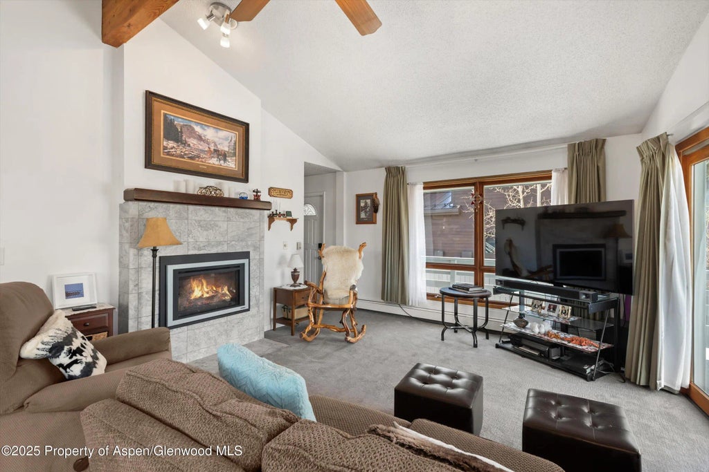 6 of 45 - 534/536 Spruce Street, Aspen, CO
