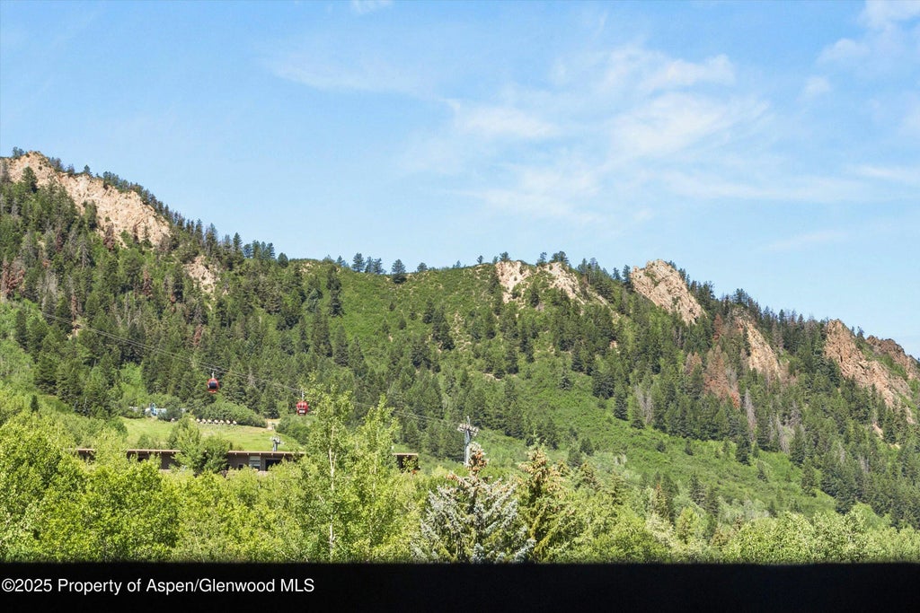 3 of 14 - 610 S West End Street H202, Aspen, CO
