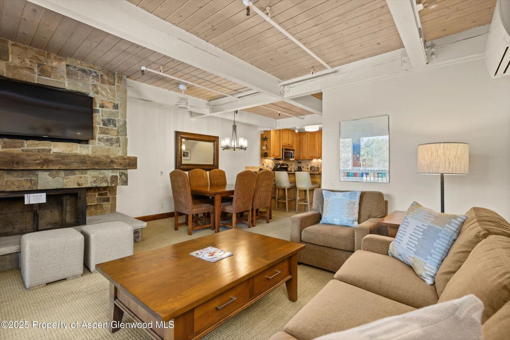 4 of 14 - 610 S West End Street H202, Aspen, CO