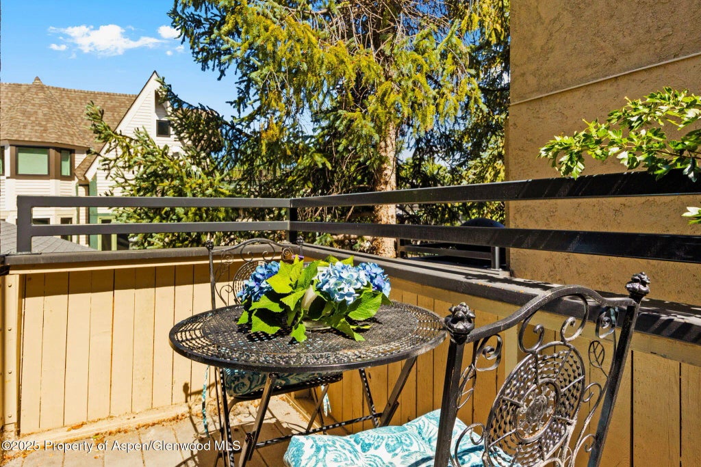 6 of 16 - 1024 E Cooper Avenue 8, Aspen, CO