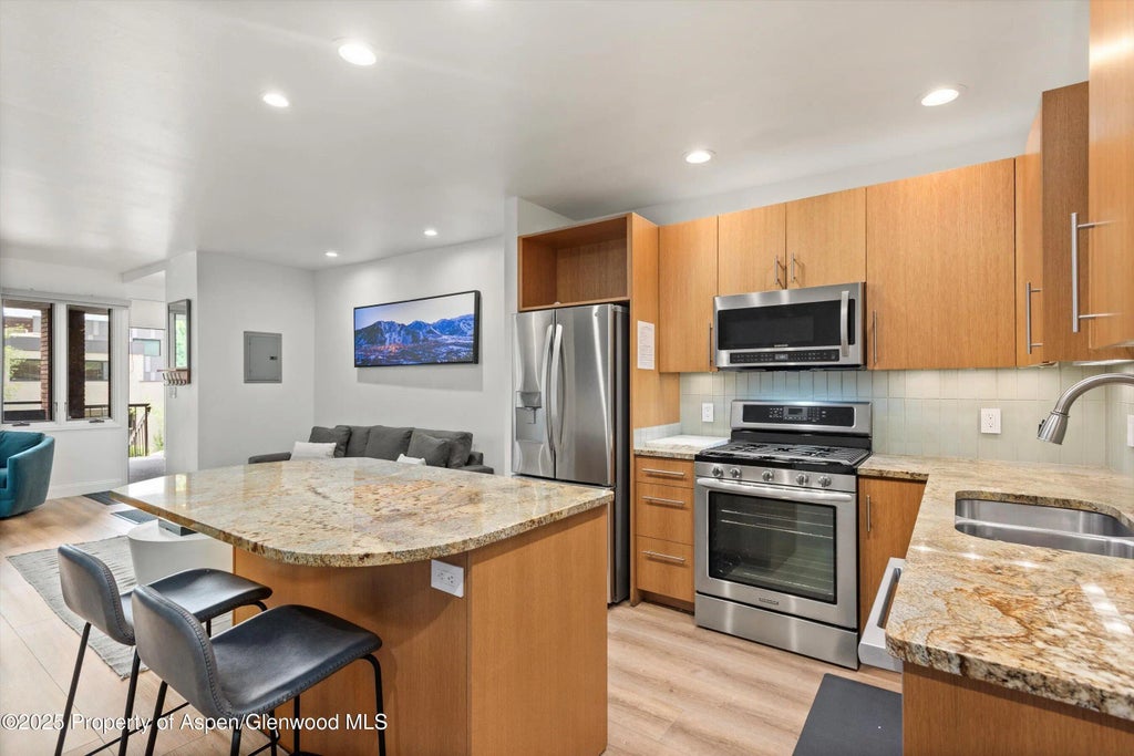 4 of 11 - 450 S Original Street #9, Aspen, CO