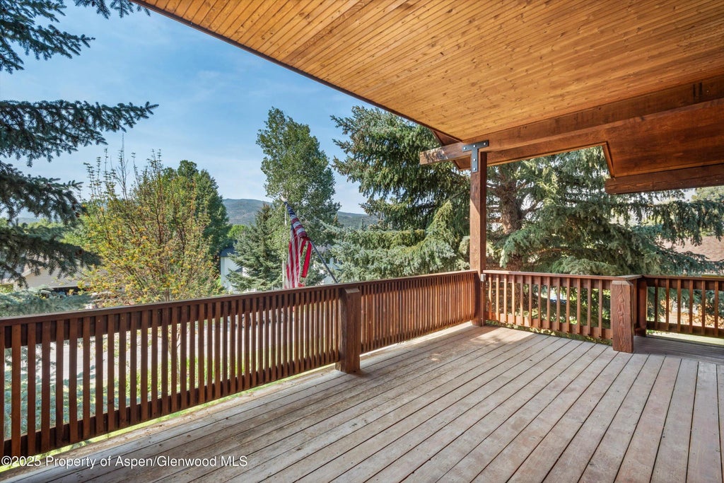 42 of 44 - 17 Dakota Court, Carbondale, CO