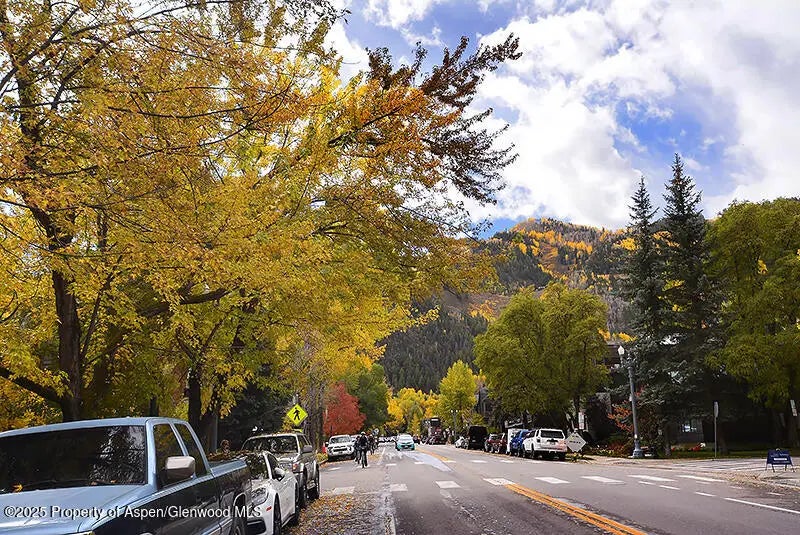 13 of 14 - 800 E Hopkins Avenue A-1, Aspen, CO