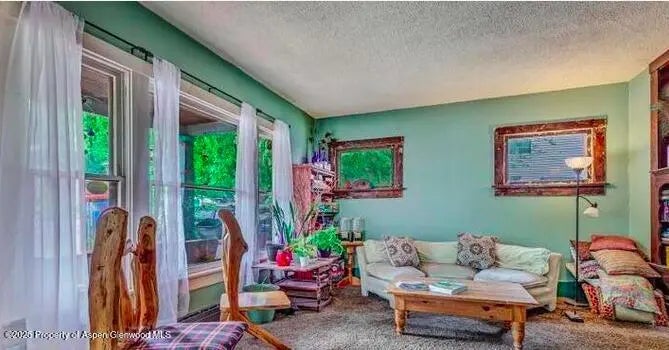 8 of 20 - 1021 Grand Avenue, Glenwood Springs, CO