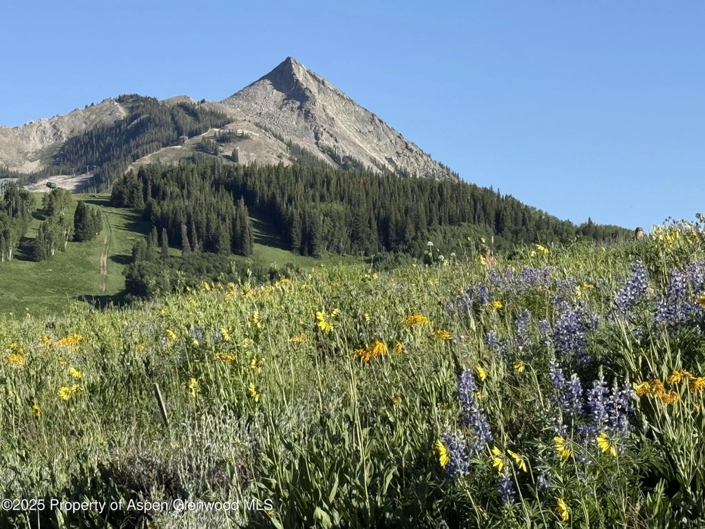 1 of 1 - Tdr Tdr, Aspen, CO