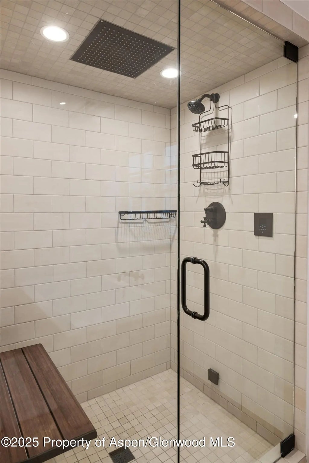 28 of 34 - 710 S Mill Street 6 & 7, Aspen, CO