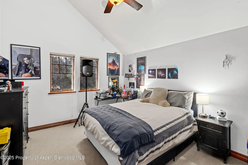 15 of 21 - 212 Juniper Court, Basalt, CO