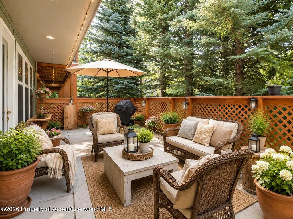 541 Evans Court, Basalt