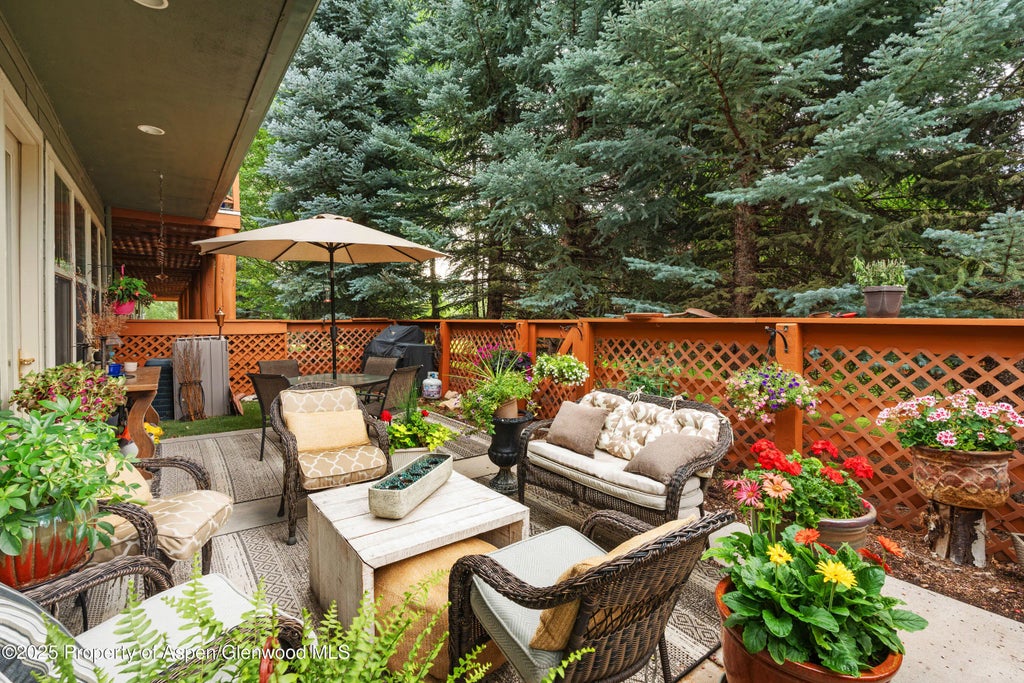 2 of 14 - 541 Evans Court, Basalt, CO