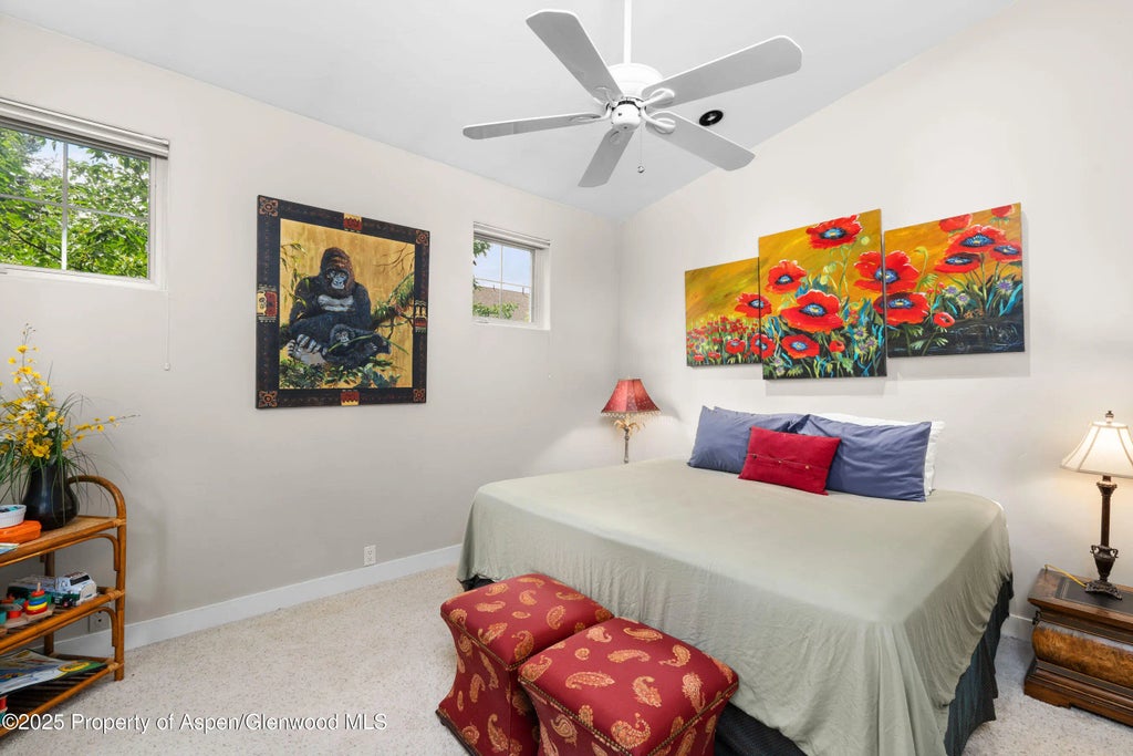 8 of 14 - 541 Evans Court, Basalt, CO
