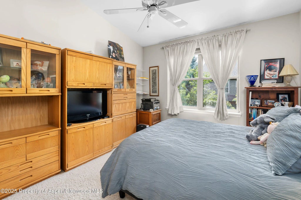 9 of 14 - 541 Evans Court, Basalt, CO