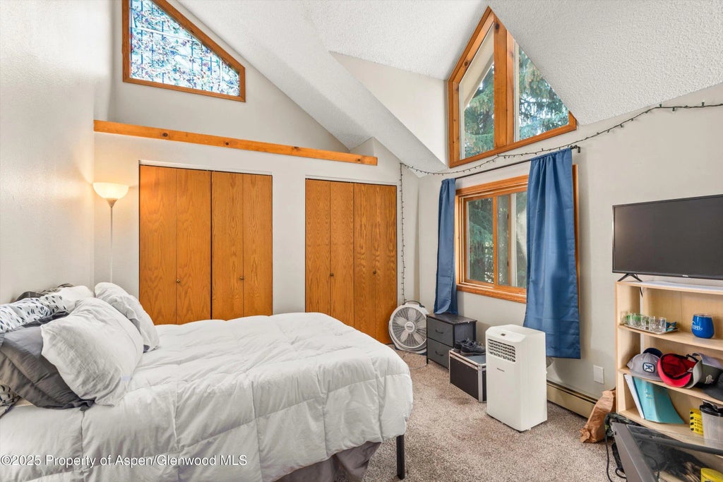 10 of 11 - 152 Wren Court, Basalt, CO