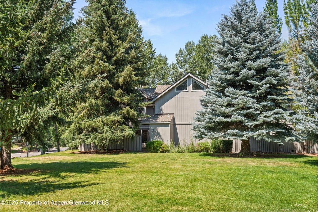 3 of 11 - 152 Wren Court, Basalt, CO