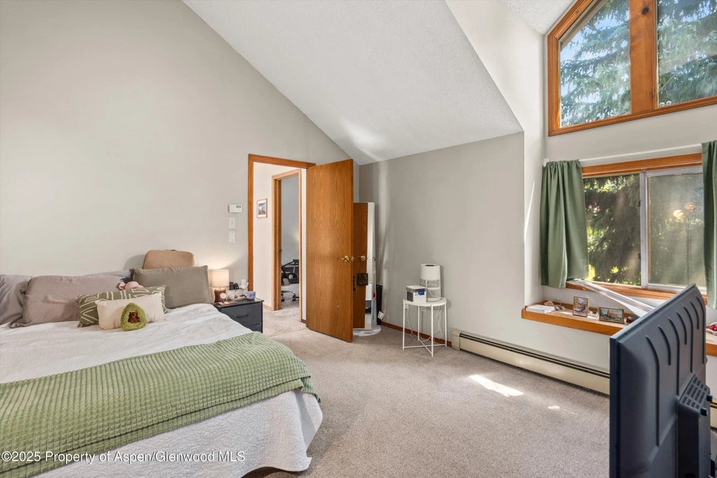 9 of 11 - 152 Wren Court, Basalt, CO