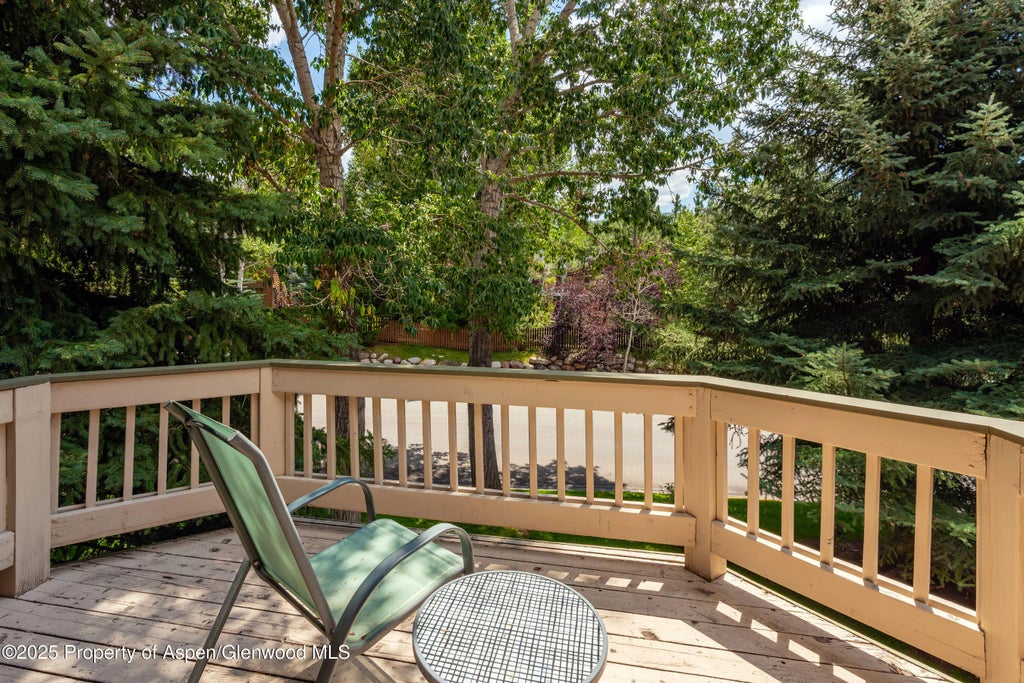 3 of 8 - 1506 Mockingbird Lane Apt 11-a, Basalt, CO