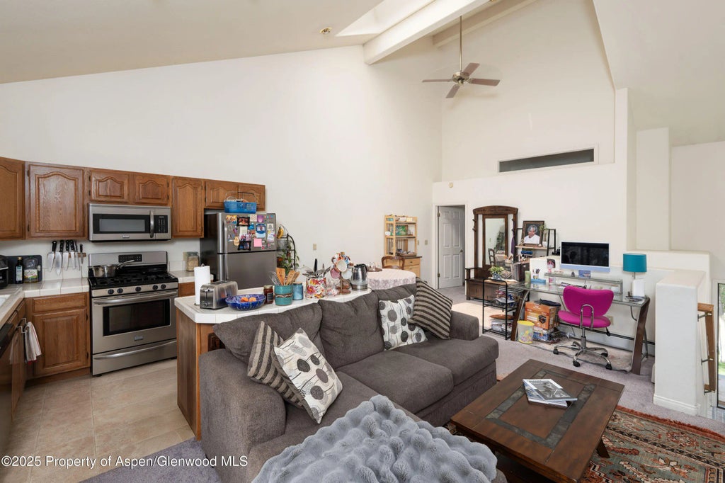 4 of 8 - 1506 Mockingbird Lane Apt 11-a, Basalt, CO