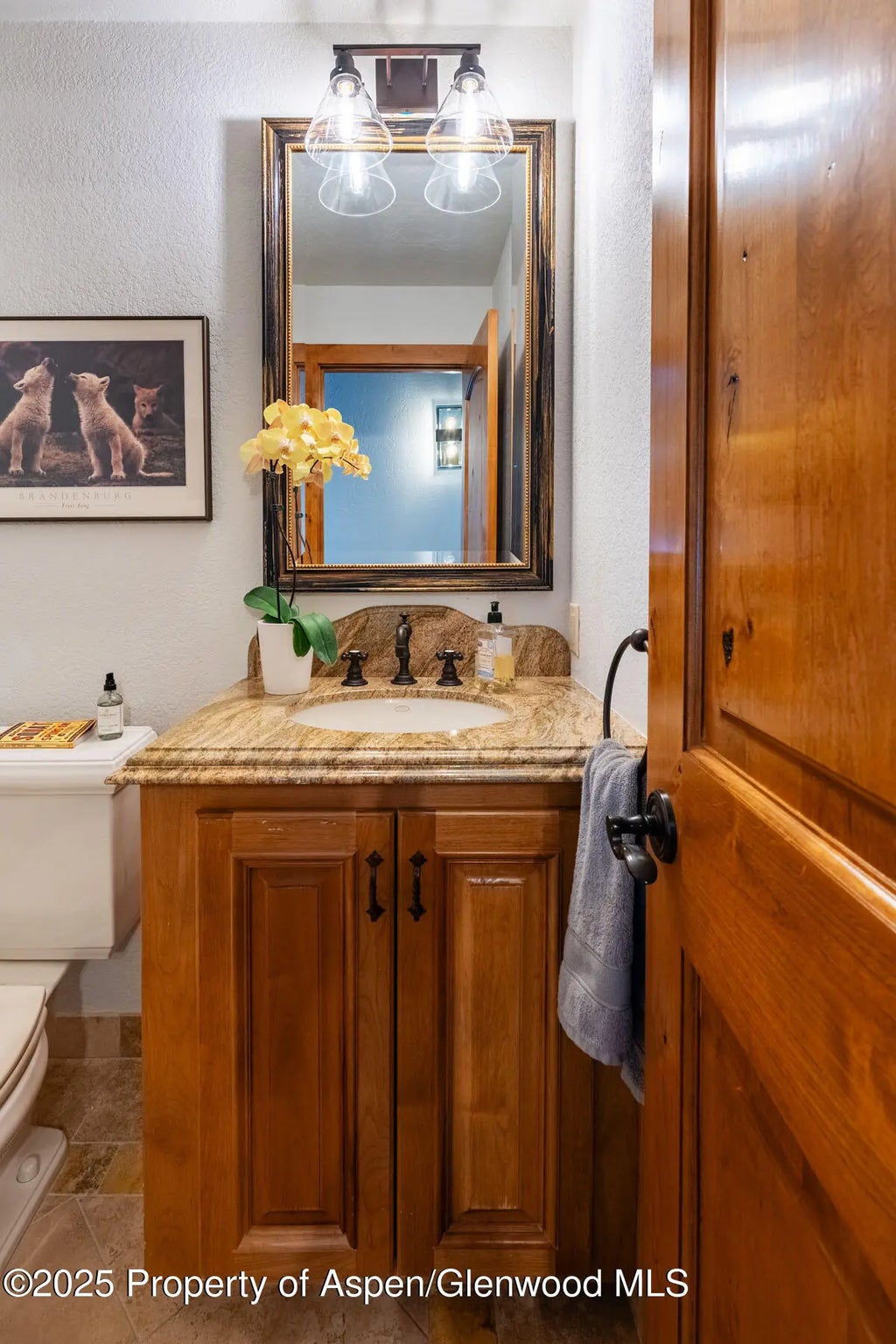 16 of 52 - 198 Edgewood Lane, Snowmass Village, CO