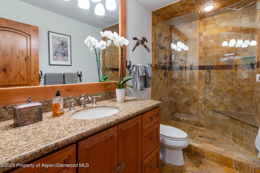 21 of 52 - 198 Edgewood Lane, Snowmass Village, CO