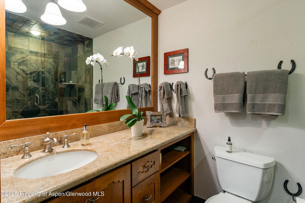 23 of 52 - 198 Edgewood Lane, Snowmass Village, CO