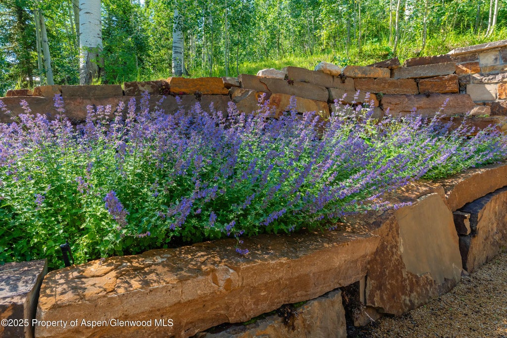 46 of 52 - 198 Edgewood Lane, Snowmass Village, CO