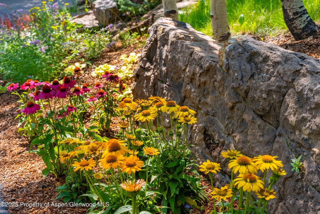 47 of 52 - 198 Edgewood Lane, Snowmass Village, CO