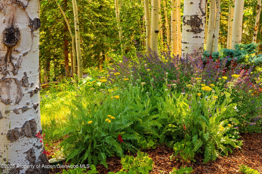 48 of 52 - 198 Edgewood Lane, Snowmass Village, CO