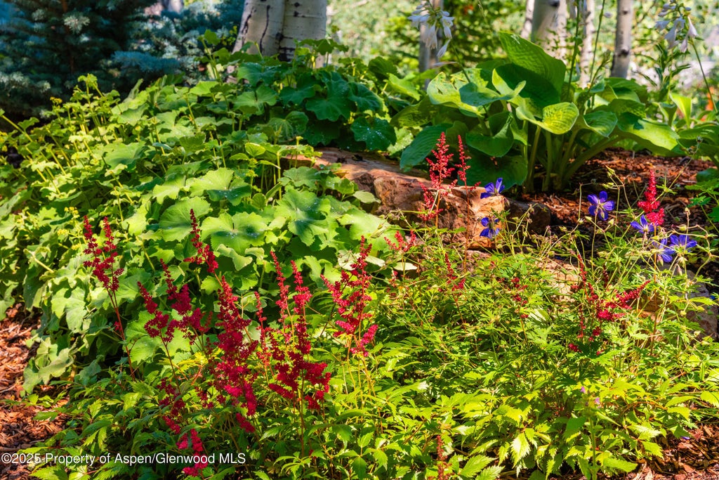 49 of 52 - 198 Edgewood Lane, Snowmass Village, CO