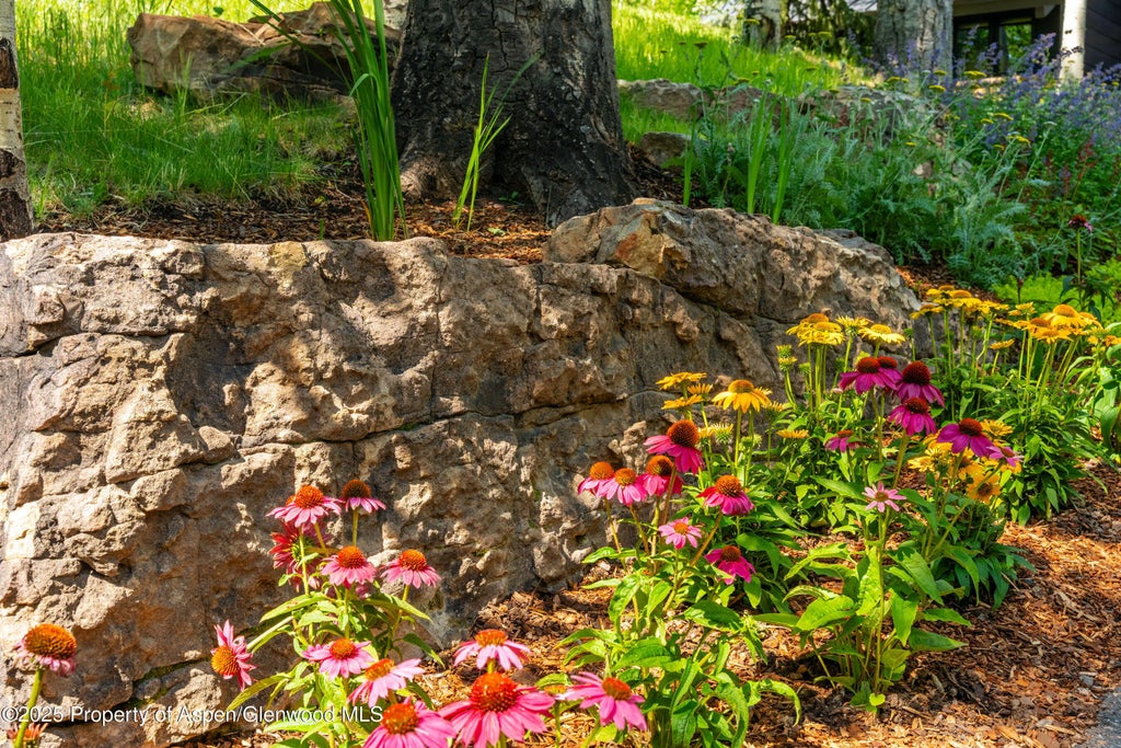 50 of 52 - 198 Edgewood Lane, Snowmass Village, CO