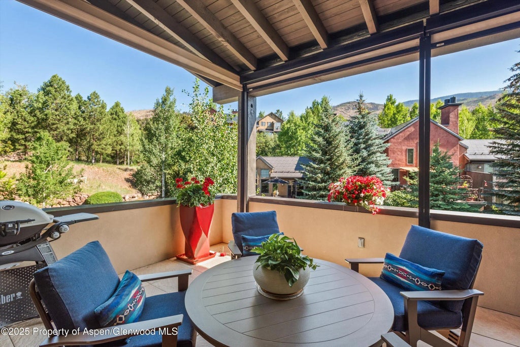 16 of 51 - 102 Wild Spring Lane, Basalt, CO