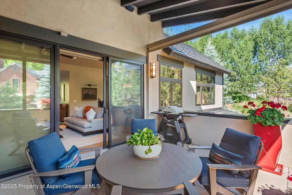 17 of 51 - 102 Wild Spring Lane, Basalt, CO