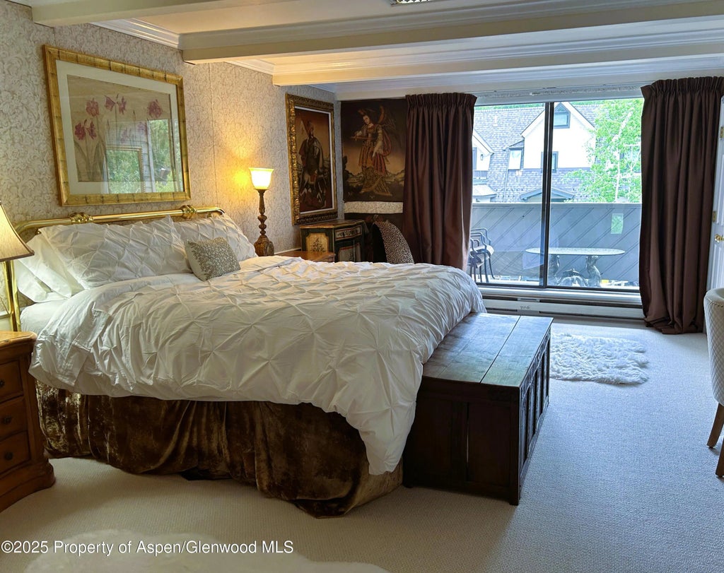 1 of 7 - 1007 E E Hyman Avenue Avenue 7, Aspen, CO