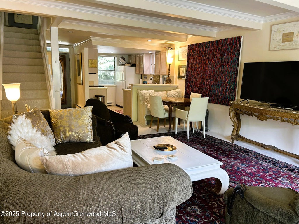 5 of 7 - 1007 E E Hyman Avenue Avenue 7, Aspen, CO