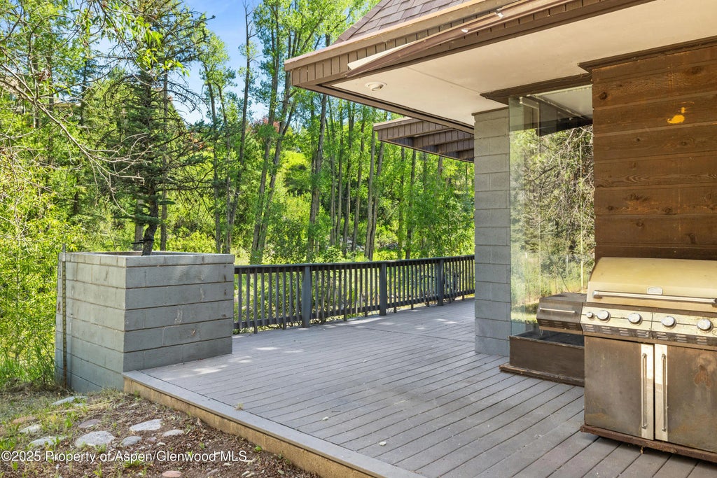 12 of 15 - 820 Twining Flats Road, Aspen, CO