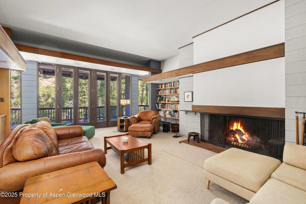 5 of 15 - 820 Twining Flats Road, Aspen, CO