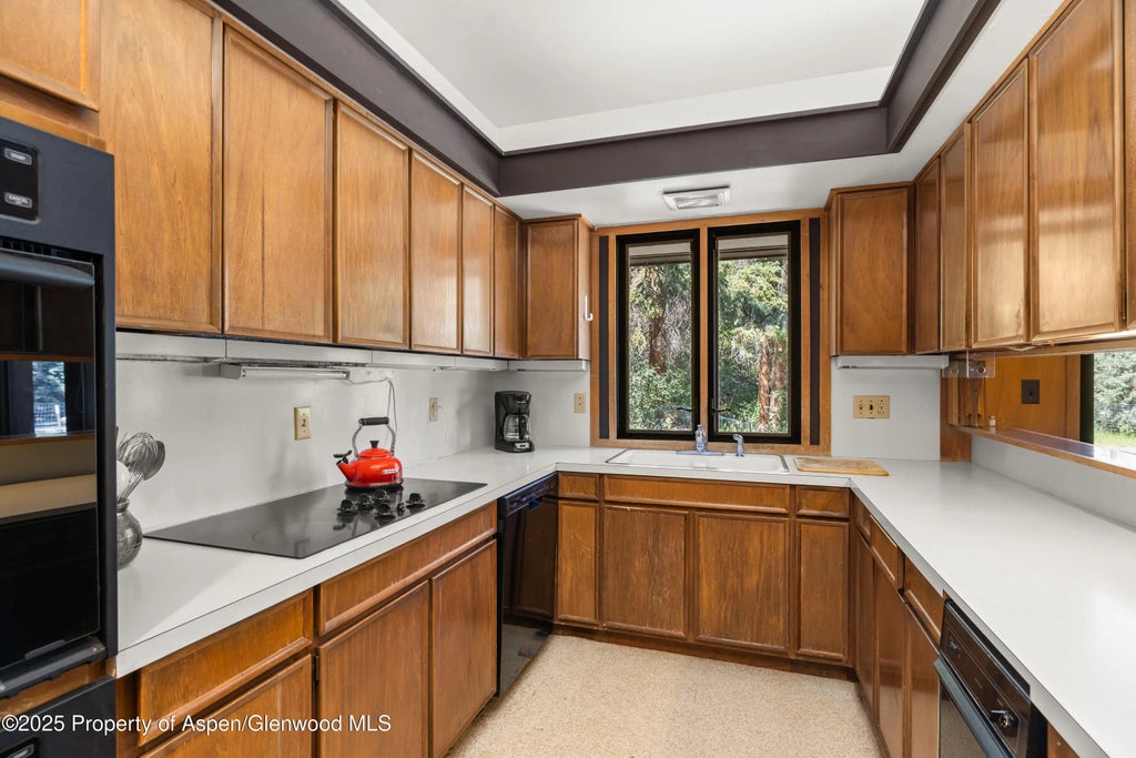 8 of 15 - 820 Twining Flats Road, Aspen, CO