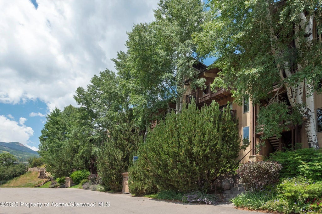 16 of 21 - 35 Upper Woodbridge Road 23ef, Snowmass Village, CO