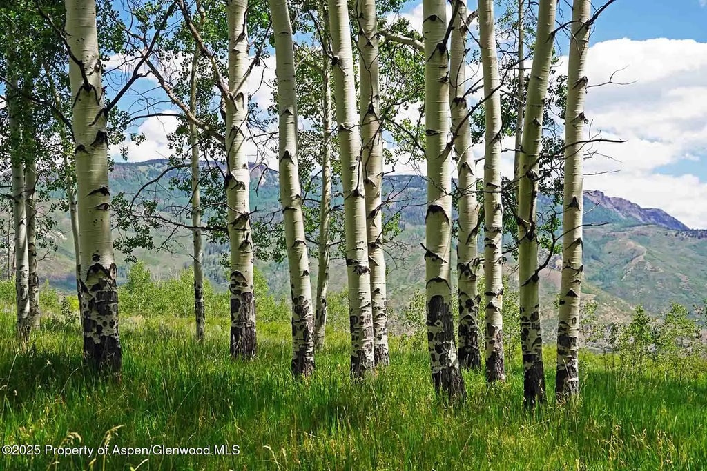 28 of 87 - 2650 Sweetwater Road, Gypsum, CO