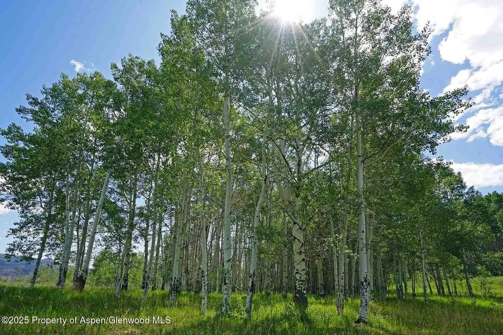 41 of 87 - 2650 Sweetwater Road, Gypsum, CO